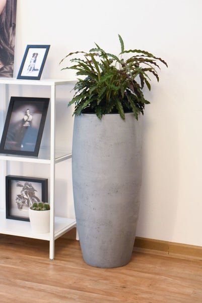 Hoher grauer Pflanzkübel in Betonoptik mit grüner Zimmerpflanze neben einem weißen Regal in einem hellen Wohnraum.
