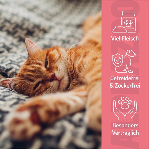 Schlafende Katze mit Symbolen für viel Fleisch, getreidefrei und zuckerfrei sowie besonders verträglich