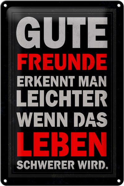 Blechschild Spruch 20x30cm gute Freunde erkennt man