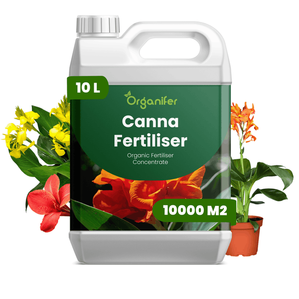 Organifer Canna Dünger, organisches Düngerkonzentrat im 10 Liter Kanister für eine Fläche von 10000 Quadratmetern.