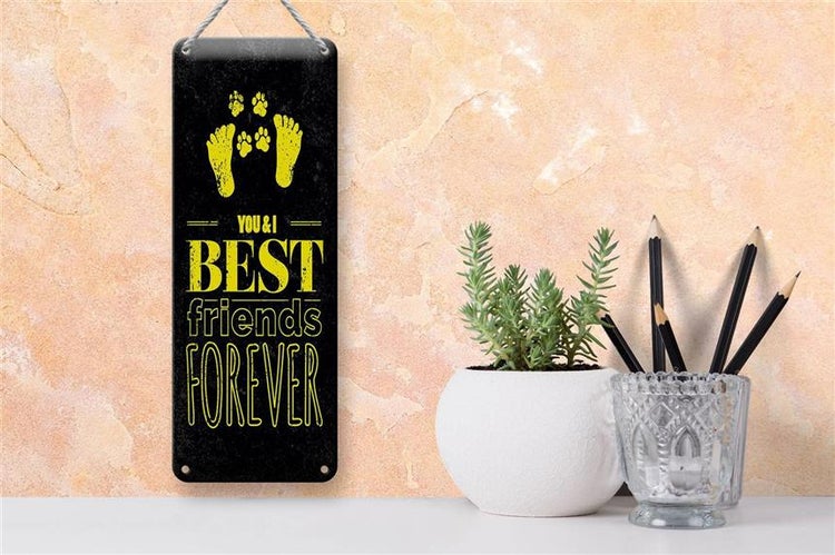 Blechschild Spruch Freunde You I best friends forever 10x27cm
