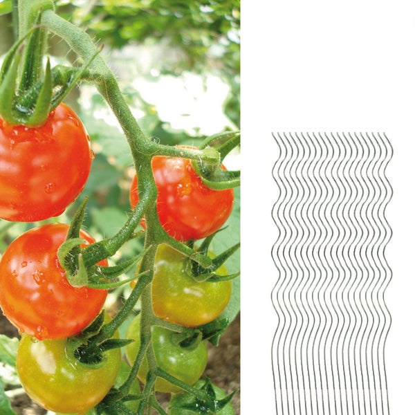 20 Tomatenspiralstäbe 110cm voll verzinkt Tomatenstab Tomaten Ranke Pflanzstab Stahl Profi Qualität Tomatenspiralstab