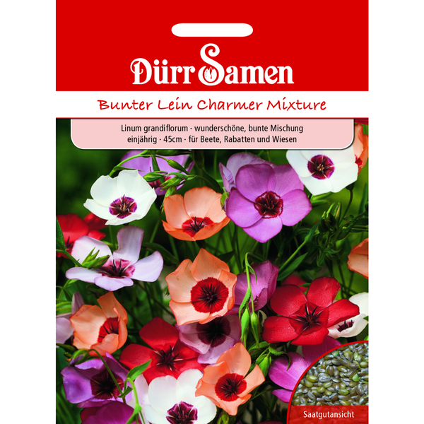 Bunter Lein Charmer Mix einjährig 45 cm Saatgut von Dürr Samen