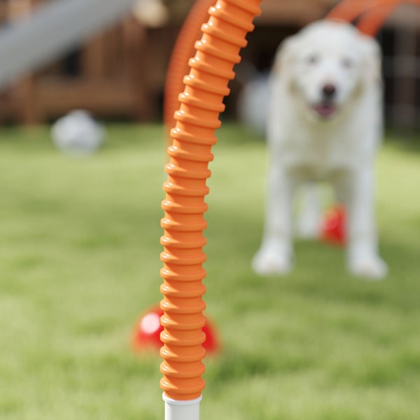 Agility-Reifen für Hunde aus geriffeltem Kunststoff auf einer Rasenfläche im Garten mit einem Hund im Hintergrund.
