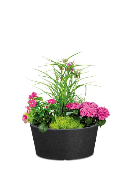 Scheurich C-Cone 40, Pflanzschale/Blumentopf/Pflanzkübel, rund,  aus Kunststoff Farbe: Stony Black, 39 cm Durchmesser, 17,5 cm hoch, 15 l Vol.