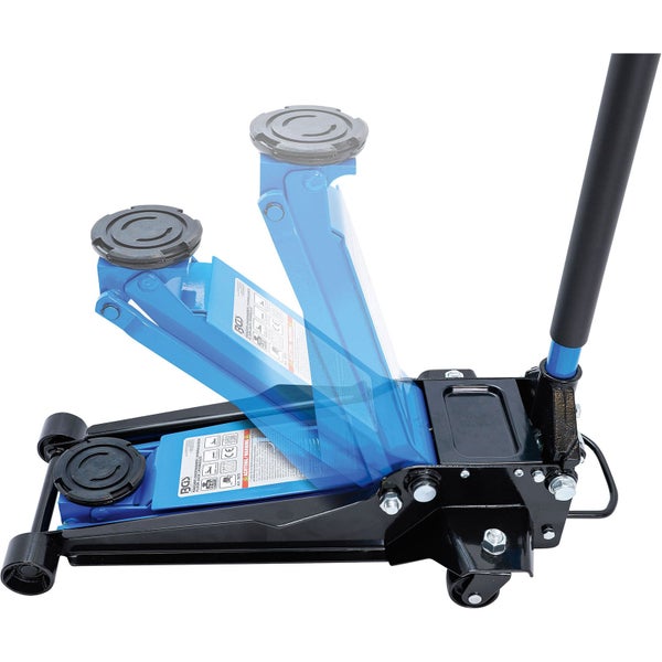 Blütenstand der Felsenbirne mit weißen Blüten und grünen Blättern