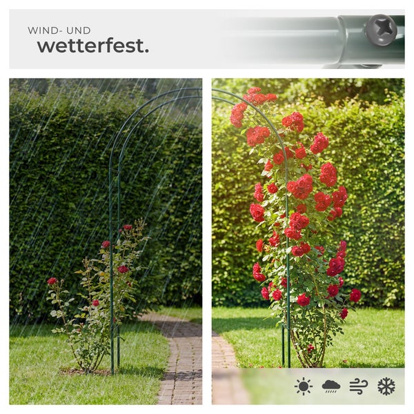 Wetterfester Rosenbogen aus Metall für den Garten, dargestellt bei Regen und Sonnenschein über einer Hecke stehend.