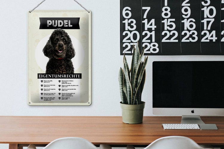 Blechschild Spruch 20x30cm Pudel Eigentumsrechte