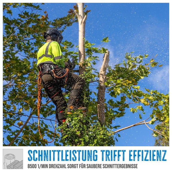 Baumpfleger mit Kettensäge bei der Arbeit in Baumkrone