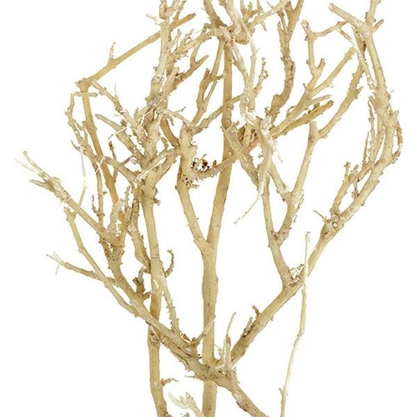 Naturbelassene, verzweigte Dekozweige aus Holz zur Dekoration von Vasen oder Terrarien.