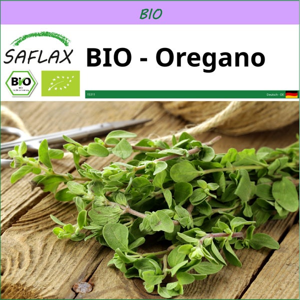 SAFLAX  - BIO - Oregano - Origanum heracleoticum - 1500 Samen