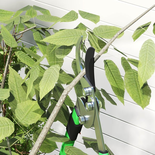 Gartenschere schneidet Ast mit Blättern