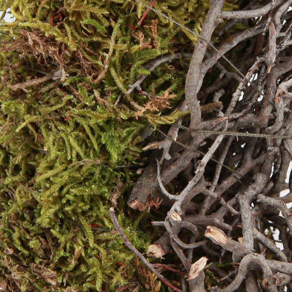 Dekorationselement aus Moos und Zweigen