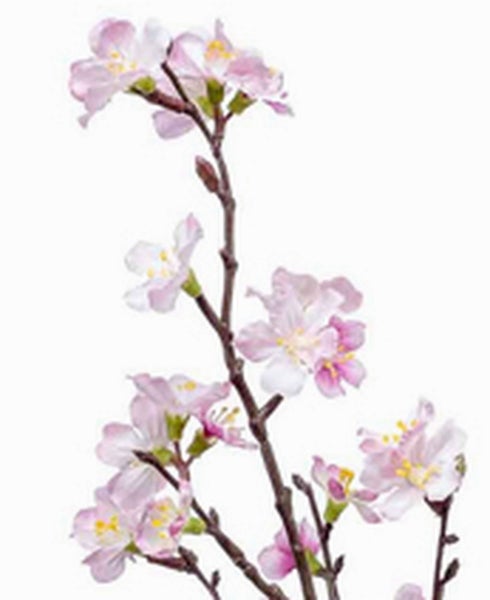 Künstlicher Kirschblütenzweig mit rosa und weißen Blüten.