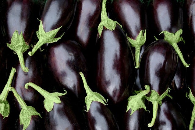 Hochbeet-Set „Bunte Ernte“, Bio-Jungpflanzen, Bio-Gemüse anbauen, Garten, Balkon, 1x Bio- Aubergine, 1x Bio-Spitzpaprika rot, 1x Bio-Blockpaprika, 1x  Bio-Cherrytomate, 1x Bio-Tomate San Marzano, 1x Bio-Zucchini