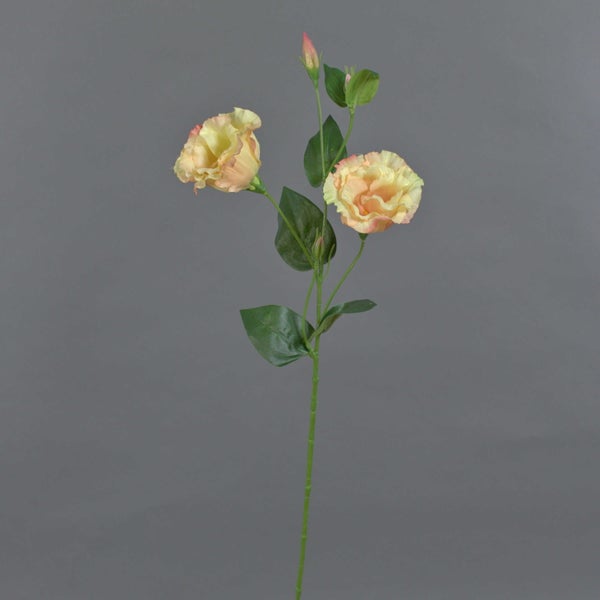 Künstlicher Lisianthus-Zweig in Apricot mit zwei Blüten, Knospen und grünen Blättern.