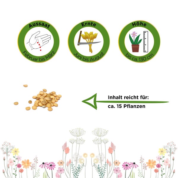 Aussaat Februar bis März, Ernte Juni bis August, Höhe bis circa 130 Zentimeter, Inhalt für circa 15 Pflanzen.
