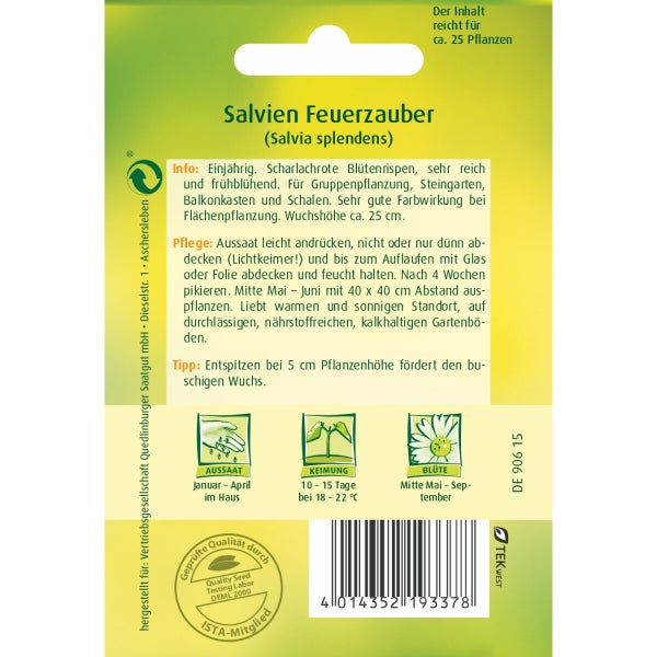 Salvie Feuerzauber Samen von Quedlinburger SAATGUT