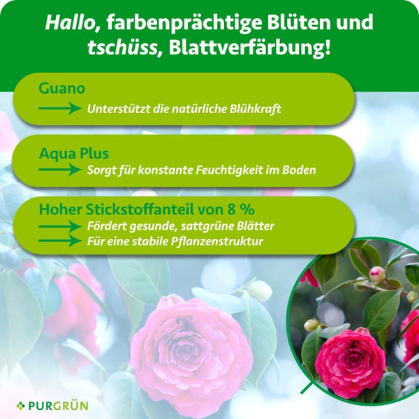 Purgrün Logo, Infografik für Pflanzendünger mit Guano, Aqua Plus und 8 Prozent Stickstoff für Blüten, Bodenfeuchtigkeit und Blattwerk.