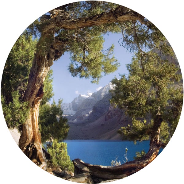 Landschaft mit Baum im Vordergrund, See und Bergen im Hintergrund