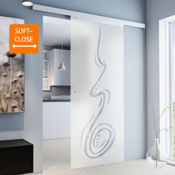 Tür Komplettset Schiebetür Glas-Tür 755x2035 Zimmertür Glasschiebetür curved -  Griffmuschel+2seitiger Softclose