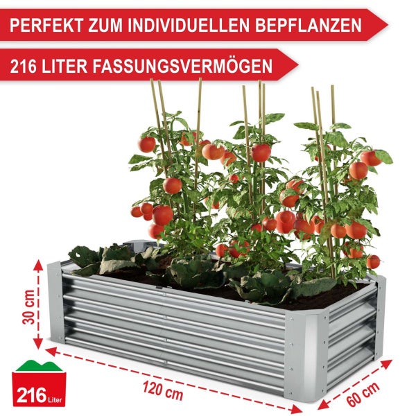 Hochbeet aus Metall in Zinkoptik bepflanzt mit Tomaten, Maße 120 mal 60 mal 30 Zentimeter, Fassungsvermögen 216 Liter.