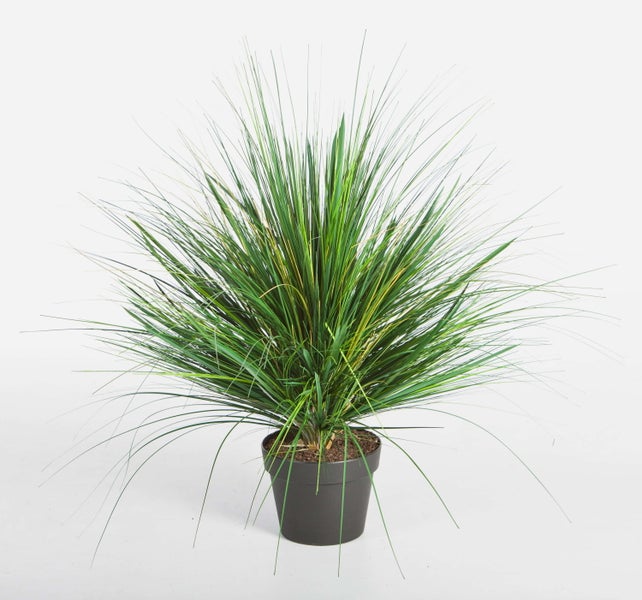 Künstliche Graspflanze in einem schwarzen Topf mit dichten grünen Halmen.