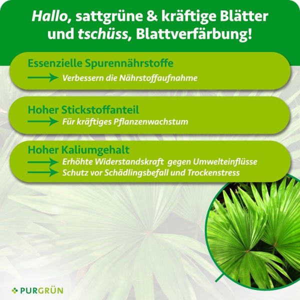 Purgrün Palmendünger 1 Liter
