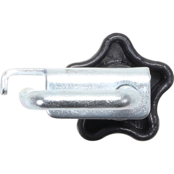 Spierstrauch mit weißen Blüten