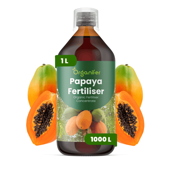 Organifer Papaya Dünger, 1 Liter organisches Düngerkonzentrat, Flasche mit Messkappe, abgebildet mit Papaya-Früchten.