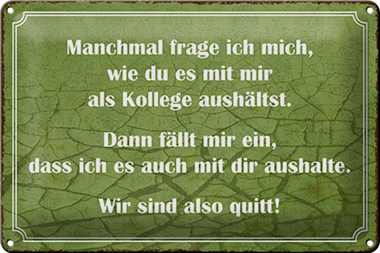 Blechschild Spruch 30x20cm wie du mit mir als Kollege