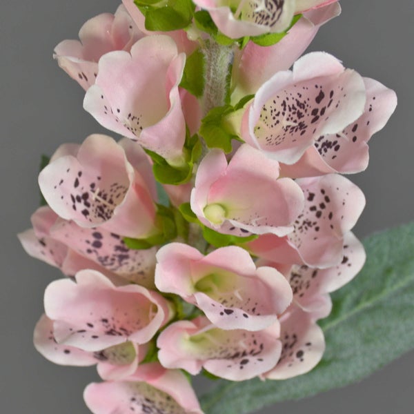 Künstlicher Fingerhut mit rosa glockenförmigen Blüten und dunklen Punkten.