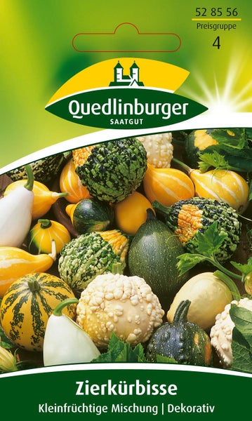 Quedlinburger Logo, Samentüte für Zierkürbisse, kleinfrüchtige Mischung verschiedener Formen, dekorativ.