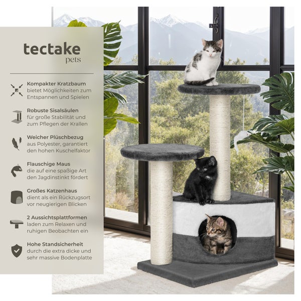 Kratzbaum mit Katzen und Sisalsäulen vor einem Fenster