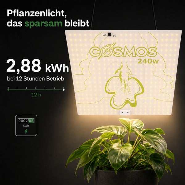 LED-Pflanzenlampe Cosmos 240 Watt über Zimmerpflanze mit Angaben zum Verbrauch von 2,88 Kilowattstunden bei 12 Stunden Betrieb.
