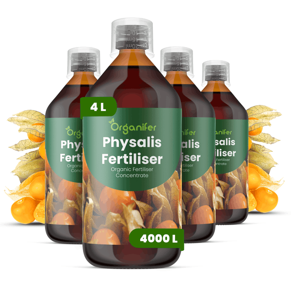Organifer Physalis-Dünger, organisches Düngerkonzentrat, 4 Flaschen zu je 1 Liter, ergibt 4000 Liter Flüssigdünger.