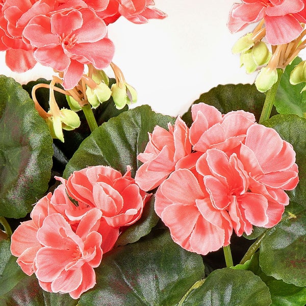 Künstliche Geranie mit rosa Blüten und grünen Blättern.
