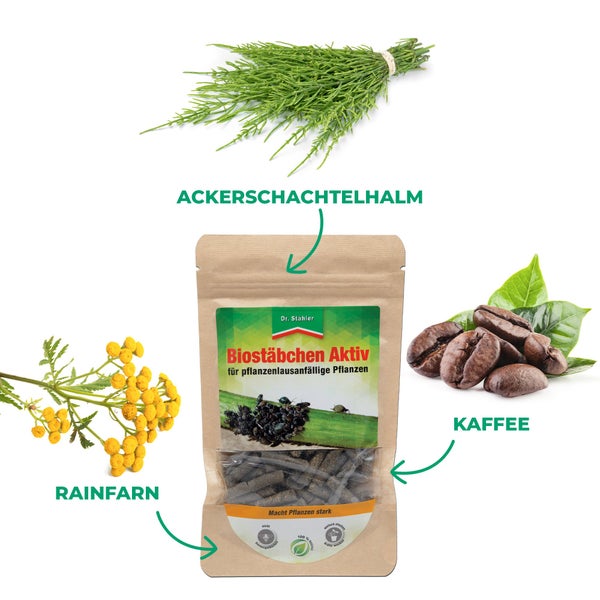 Biostäbchen Aktiv – Vitalisierende Pflanzenpflege für gesunde, widerstandsfähige Pflanzen – Mit Schachtelhalm, Rainfarn & Kaffeeextrakt – Für Zimmer-, Balkon- & Gartenpflanzen
