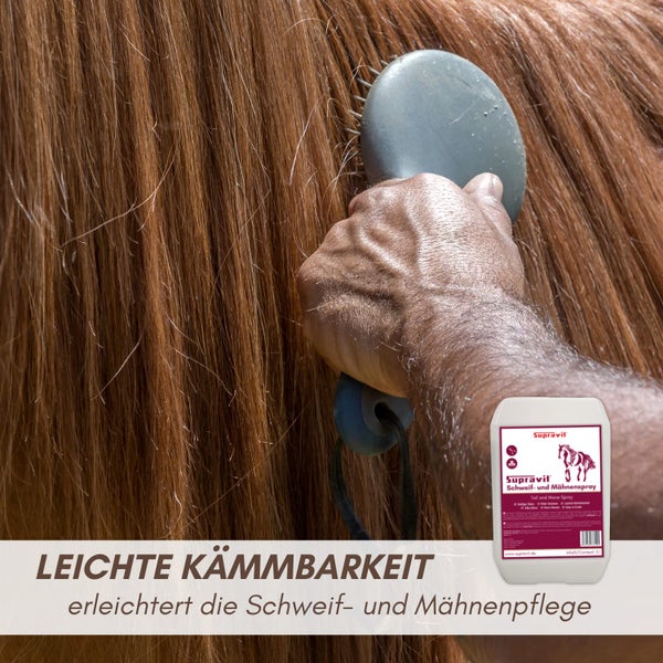 Eine Hand kämmt die Mähne eines Pferdes mit einer Bürste, daneben eine Flasche Supravit Schweif- und Mähnenspray für leichte Kämmbarkeit.