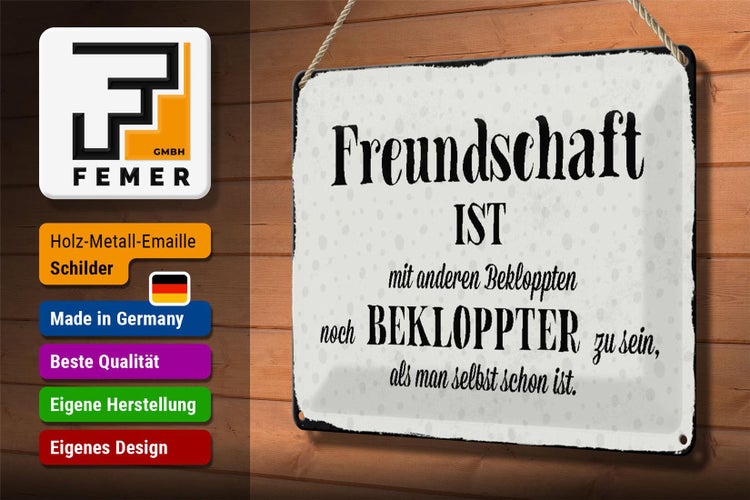 Blechschild Spruch 30x20cm Freundschaft ist mit anderen