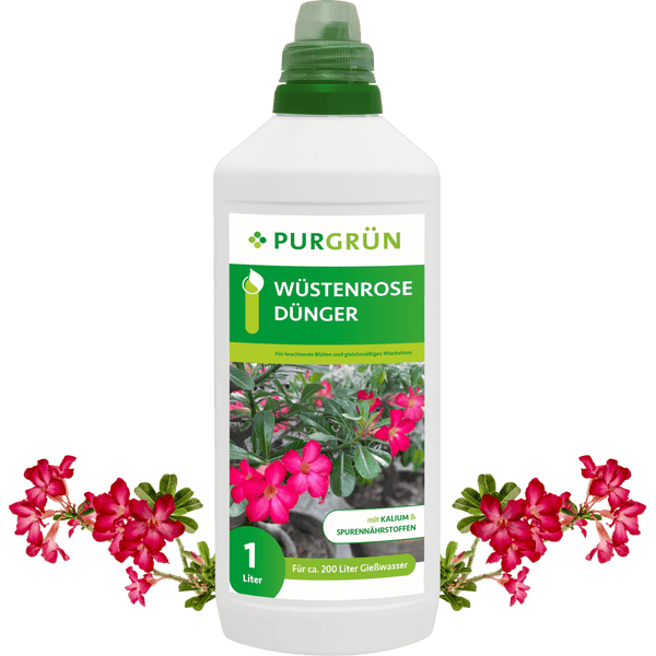 Wüstenrose-Dünger 1 Liter