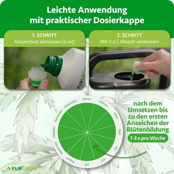 Infografik zur Purgrün Anwendung: Fünf Milliliter abmessen, mit drei bis sechs Liter Wasser mischen. Ein bis drei Mal pro Woche. Purgrün Logo.