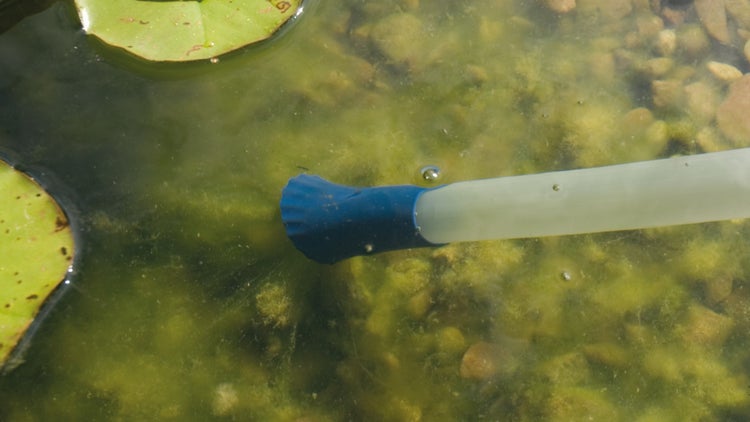 Teichsauger-Schlauch mit blauem Aufsatz in trübem Teichwasser mit Algen und Seerosenblättern.