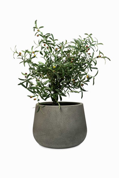 Künstlicher Olivenbaum im grauen, runden Pflanztopf.