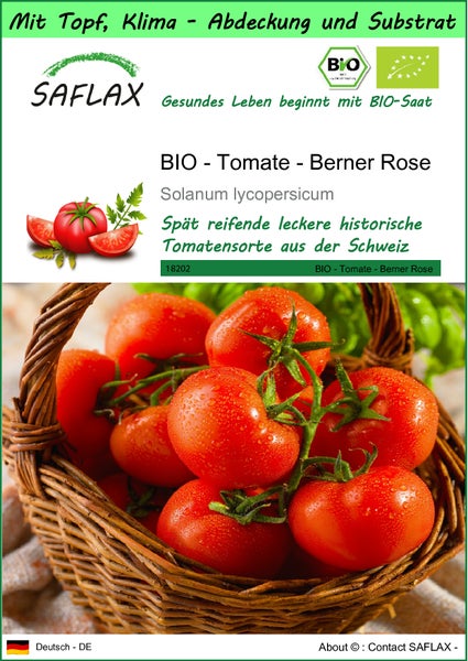 SAFLAX Garden to go - BIO - Tomate - Berner Rose - Solanum lycopersicum - 10 Samen - Mit Topf, Klima - Deckel und Anzuchtsubstrat