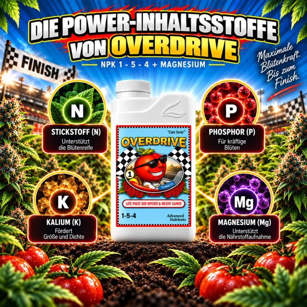 Flasche mit Overdrive Pflanzendünger NPK 1-5-4 plus Magnesium für Tomaten mit Erklärungen zu den Inhaltsstoffen Stickstoff Phosphor Kalium Magnesium