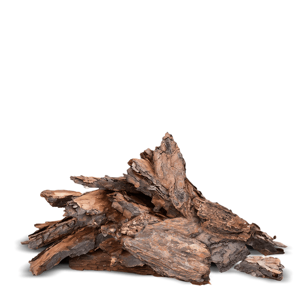 Pinienrinde oder Rindenmulch als Bodenabdeckung für den Garten.