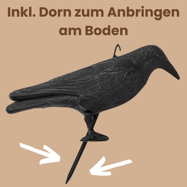Krähe zur Vogelabwehr inklusive Erdspieß