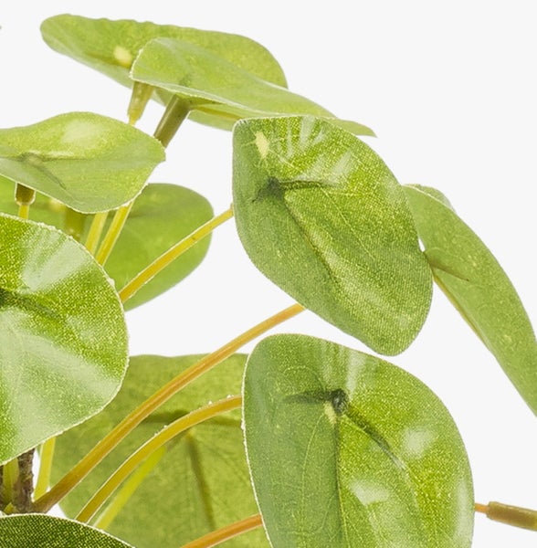 Detailaufnahme einer künstlichen Pilea peperomioides mit runden, grünen Blättern.