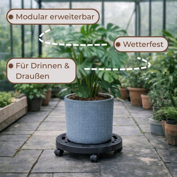 Pflanzenroller mit Monstera Pflanze im Topf im Gewächshaus. Geeignet für drinnen und draußen, wetterfest und modular erweiterbar.